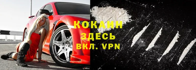 купить  цена  Аркадак  Cocaine 99% 